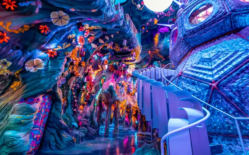 Meow Wolf Finds New CEO After Year-Long Search (The Hollywood Reporter)