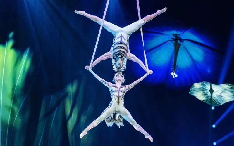 The Future Is Live: How Immersive Experience Design Is Shaping Audience Expectations (blooloop)