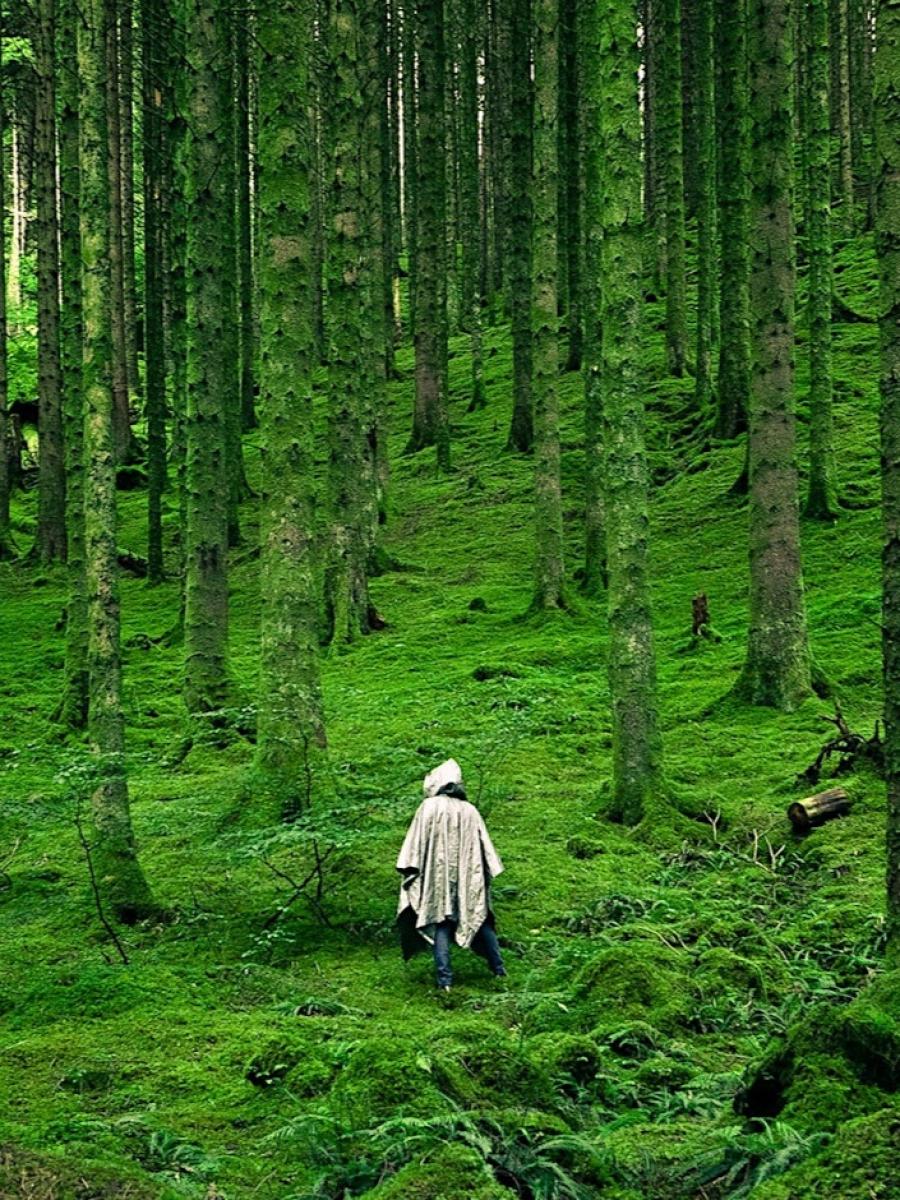 All Falls Down Immersive Event - Main Image