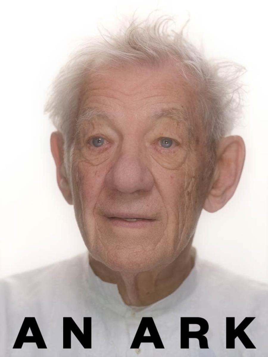 An Ark Immersive Event - Main Image