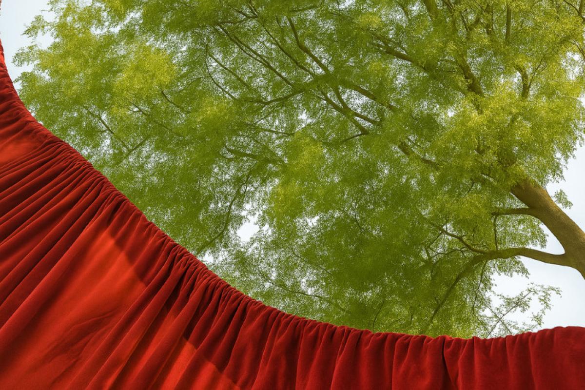 Arborlogues: A Botanical Recital Performed for One Tree Immersive Event - Image 2