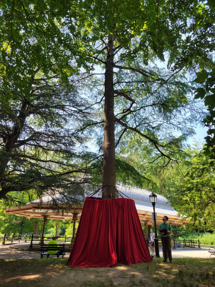 Arborlogues: Dublin Immersive Event - Main Image