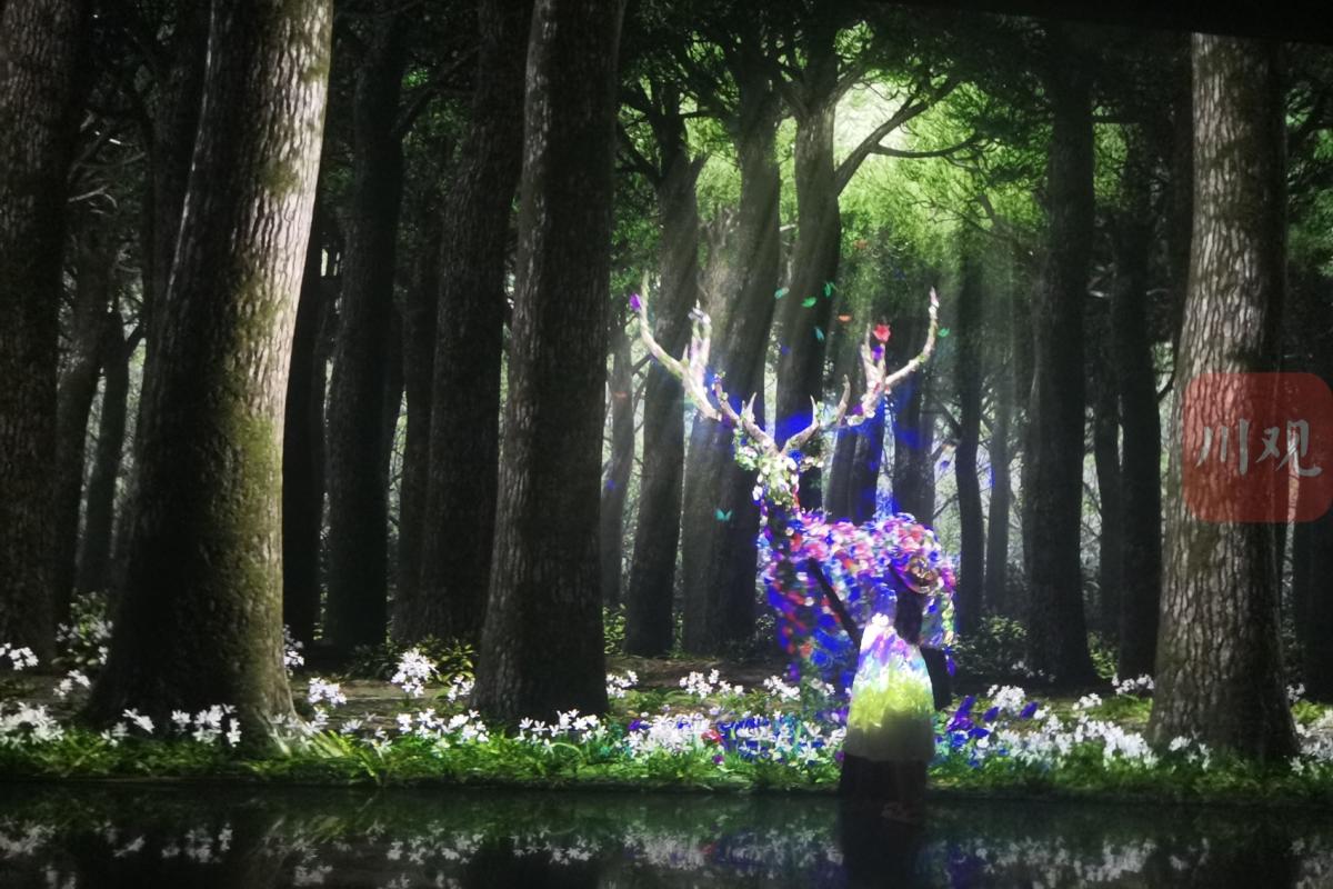 Arte Museum Chengdu Immersive Event - Image 2