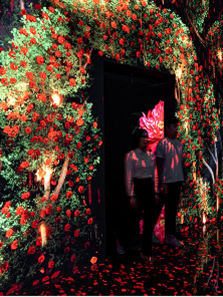 Arte Museum Gangneung Immersive Event - Main Image