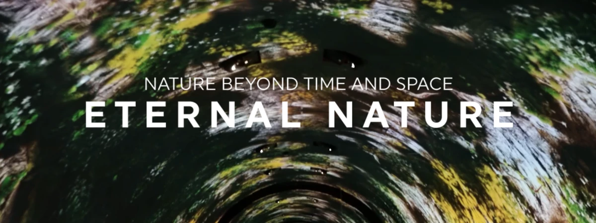 Arte Museum Las Vegas