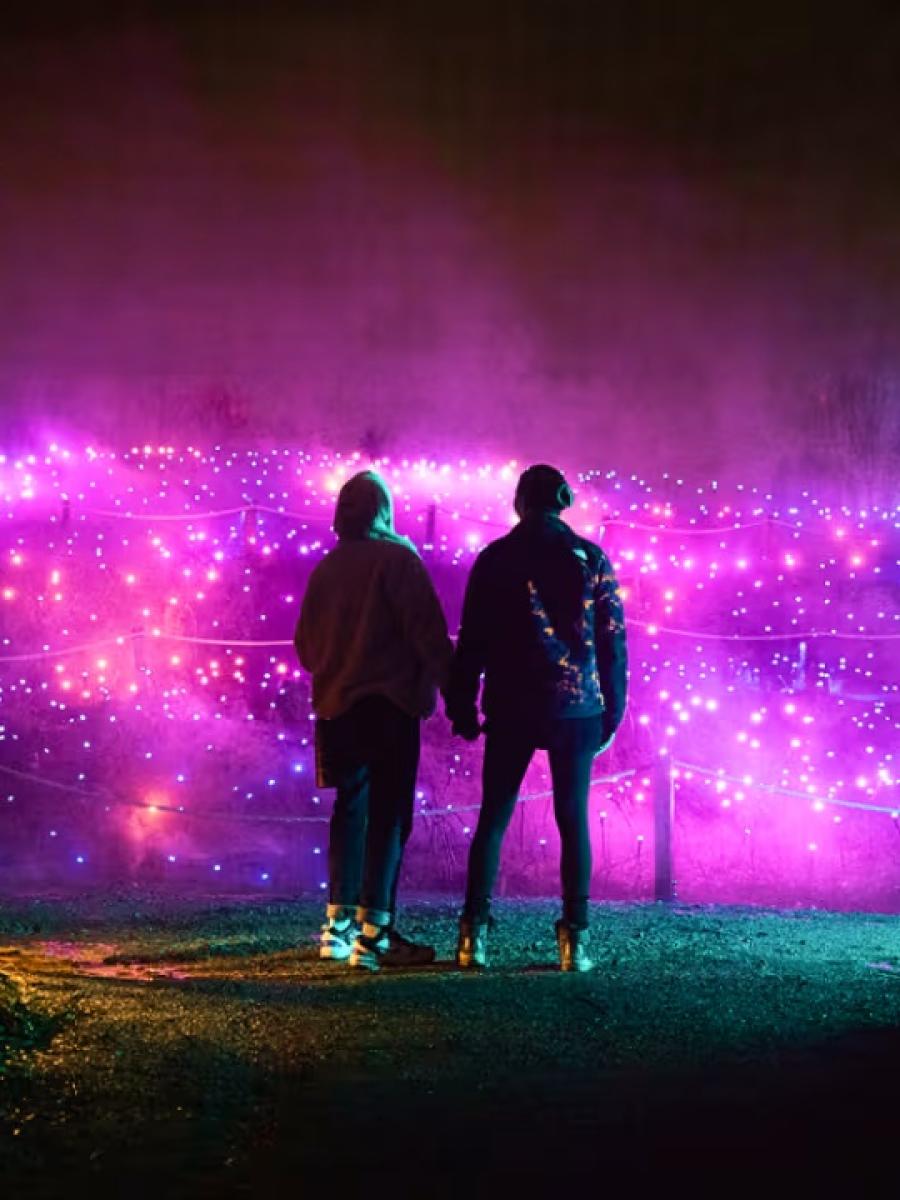 Astra Lumina (Dallas) (2025) Immersive Event - Main Image