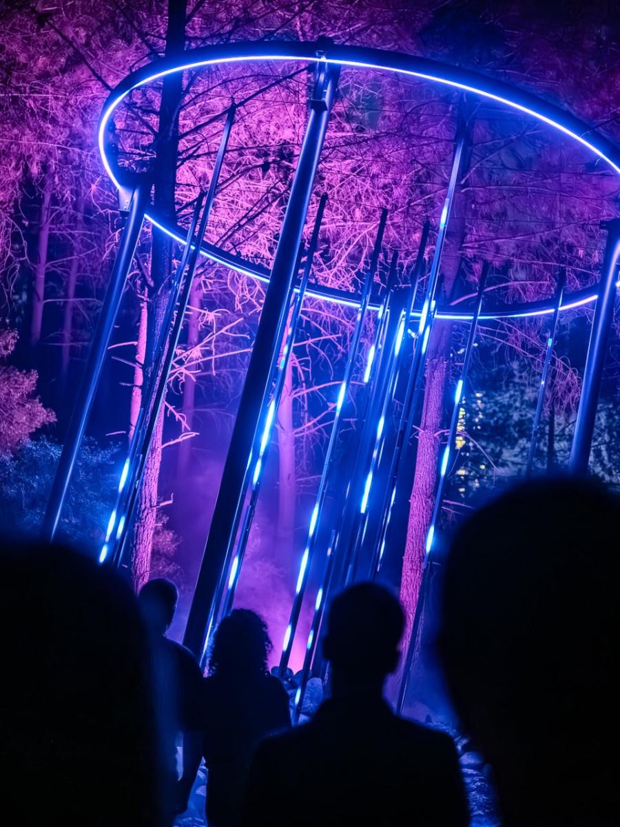 Astra Lumina (Istanbul) Immersive Event - Main Image