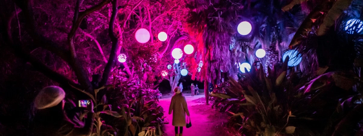 Astra Lumina (Philadelphia) Immersive Event - Main Image