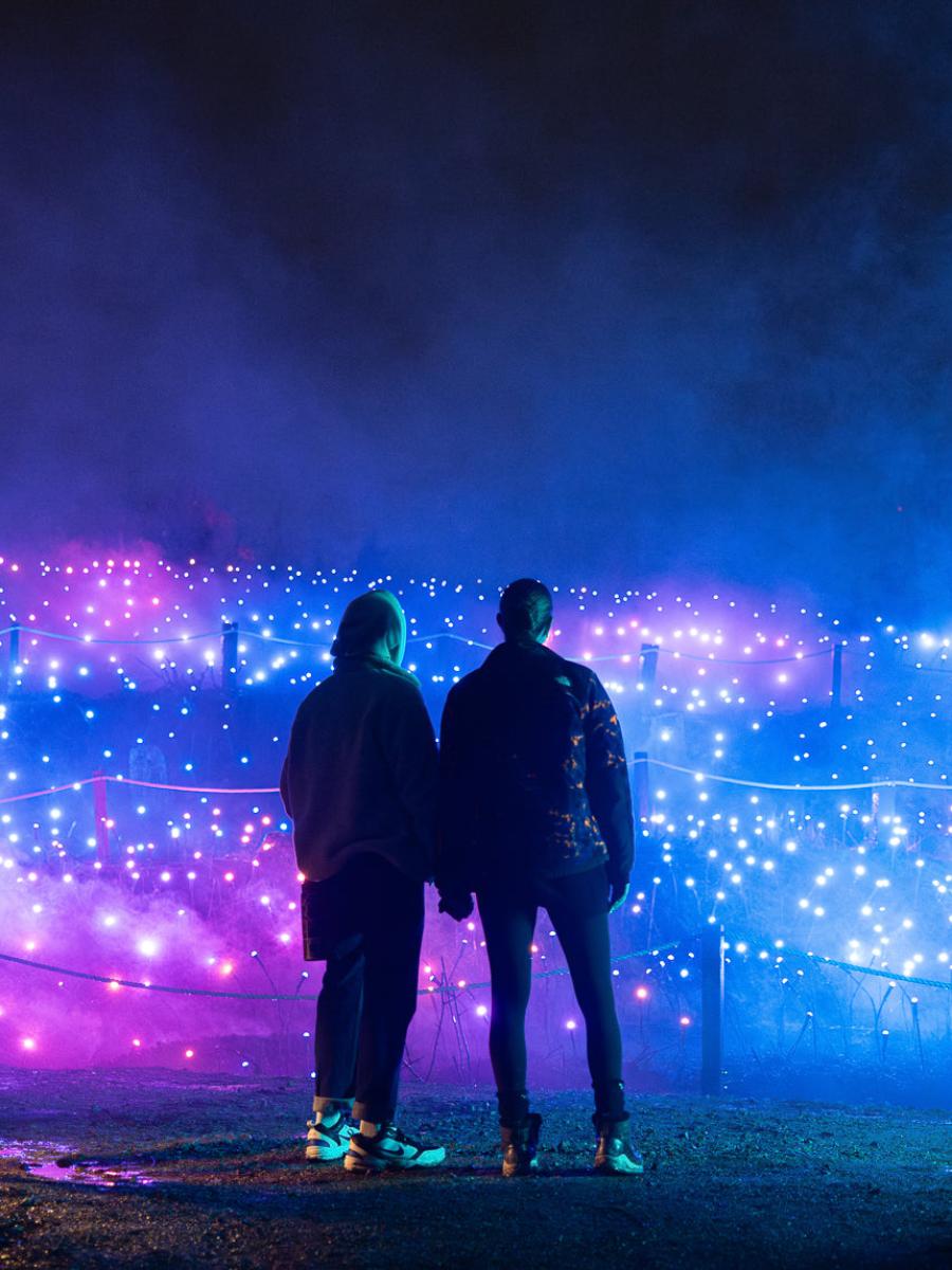 Astra Lumina (Vancouver) Immersive Event - Main Image