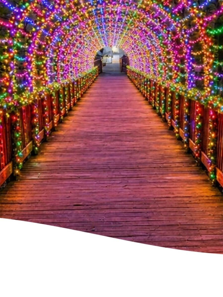BayPort Credit Union Holiday Trail of Lights (2026) Immersive Event - Main Image