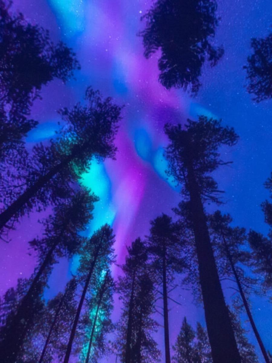 Between Dreams Immersive Event - Main Image