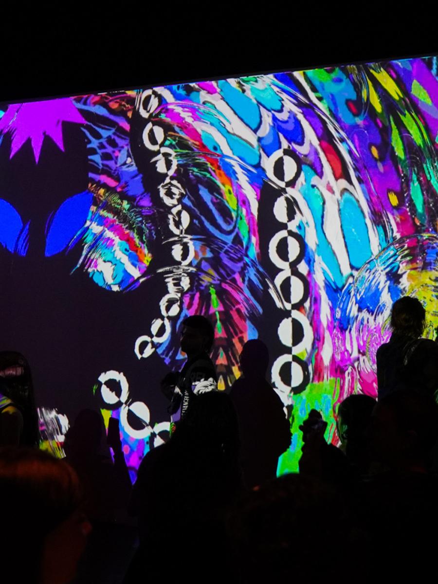 BIOLUMINAL Immersive Event - Main Image