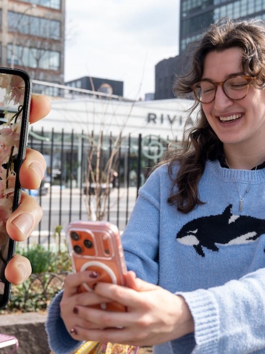 Bloom Hunt Immersive Event - Main Image