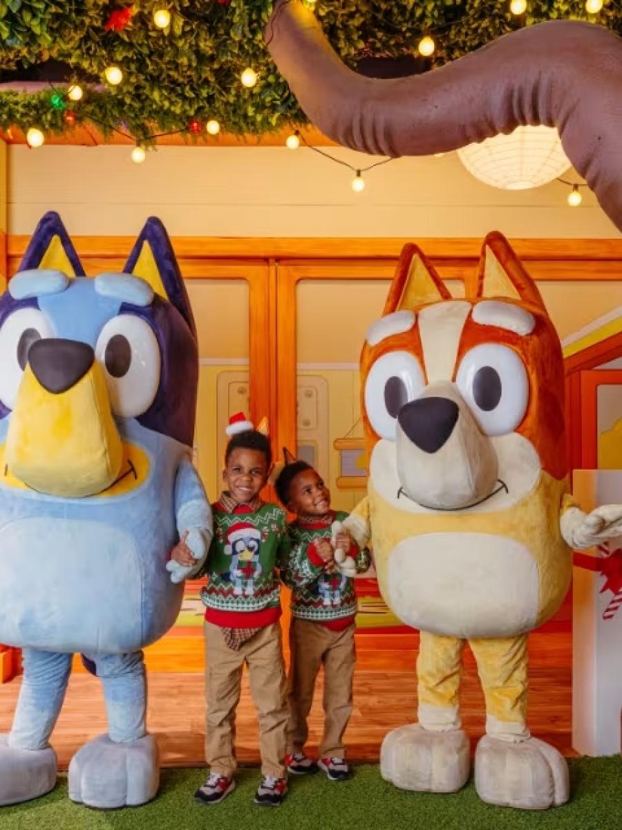 Bluey x CAMP: Bluey's Christmas (Houston) Immersive Event - Main Image