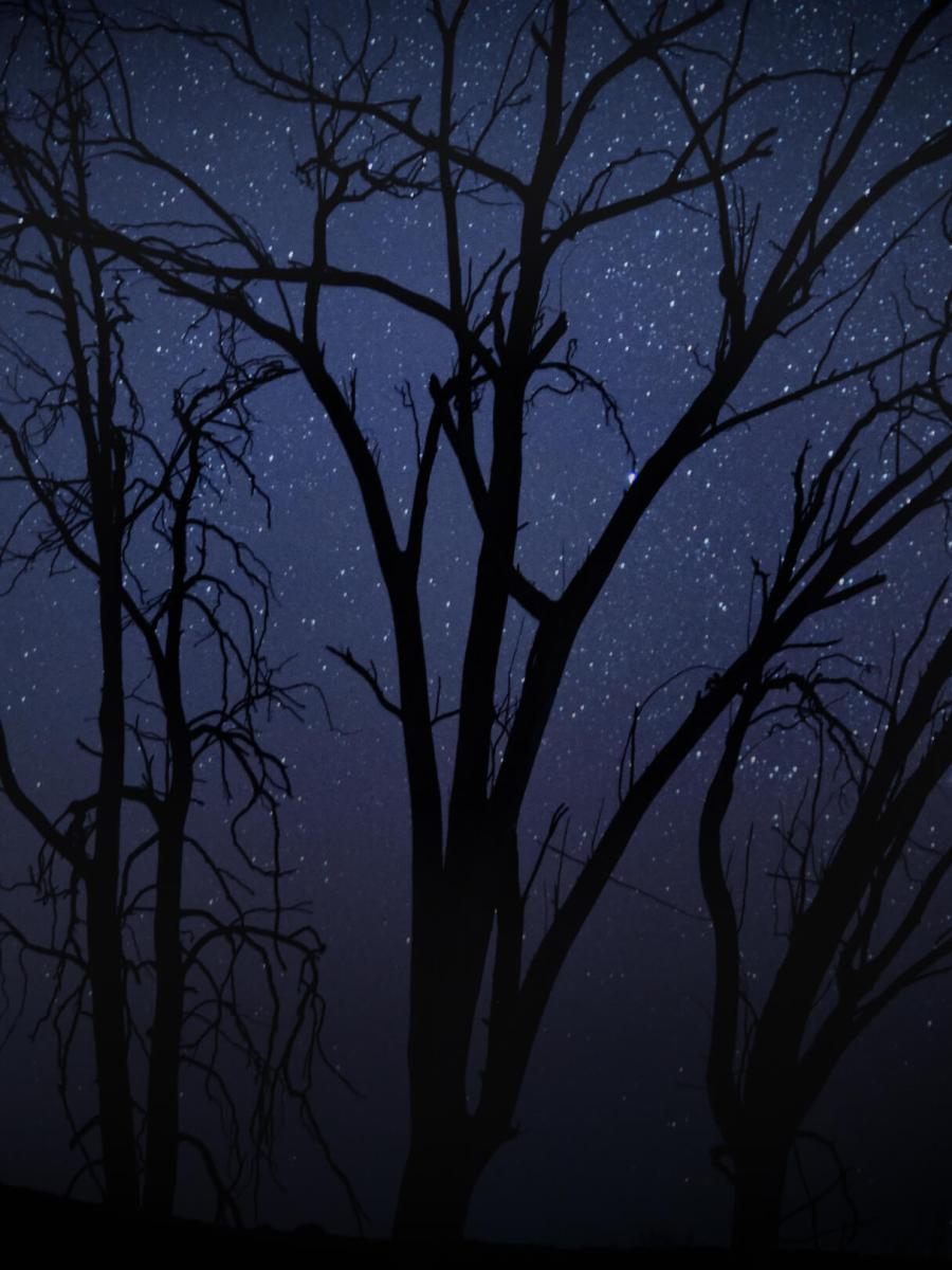 Bridge Command: Halloween Mission - SEPULCHRE Immersive Event - Main Image