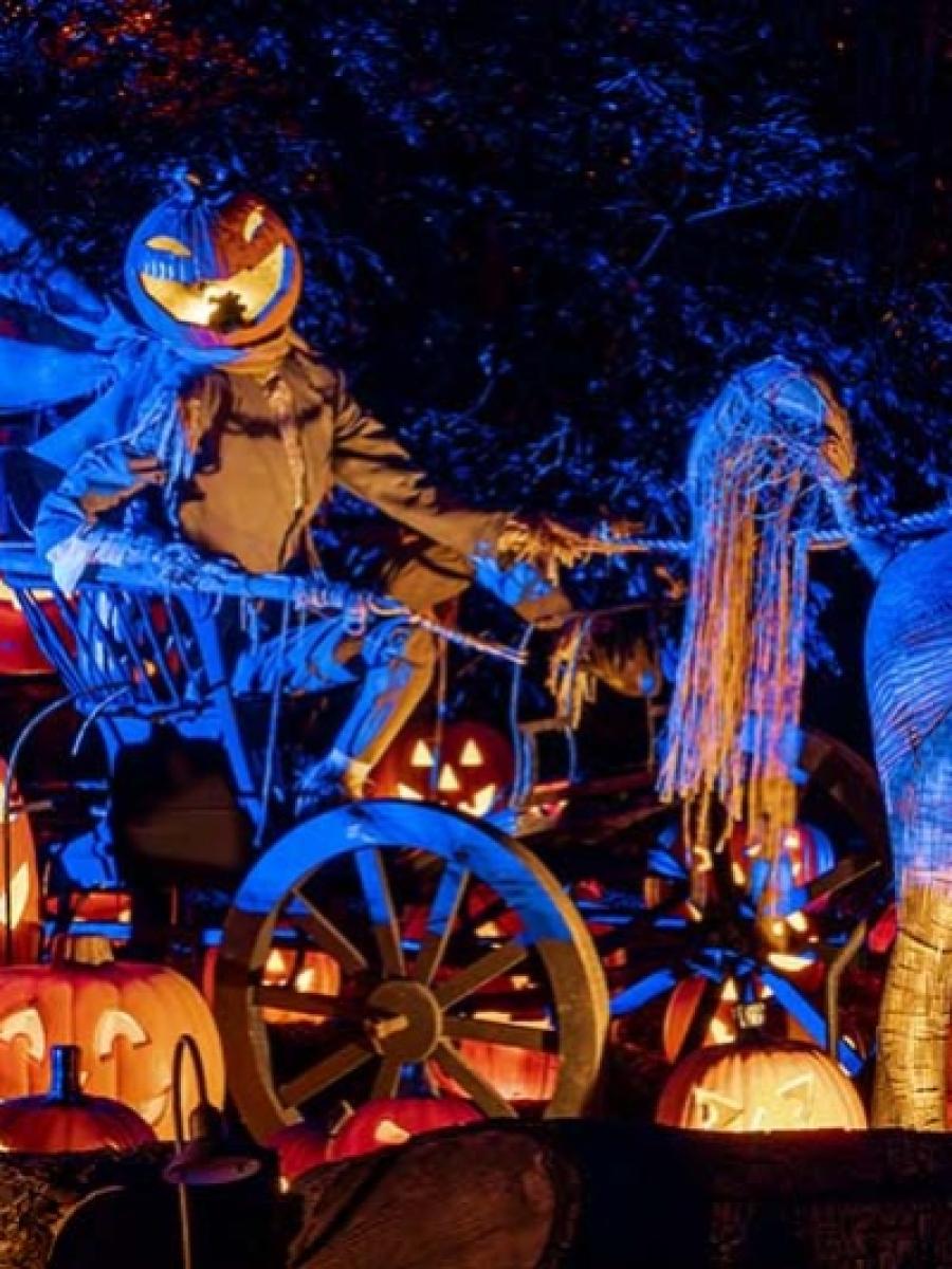 Carved (2025) Immersive Event - Main Image