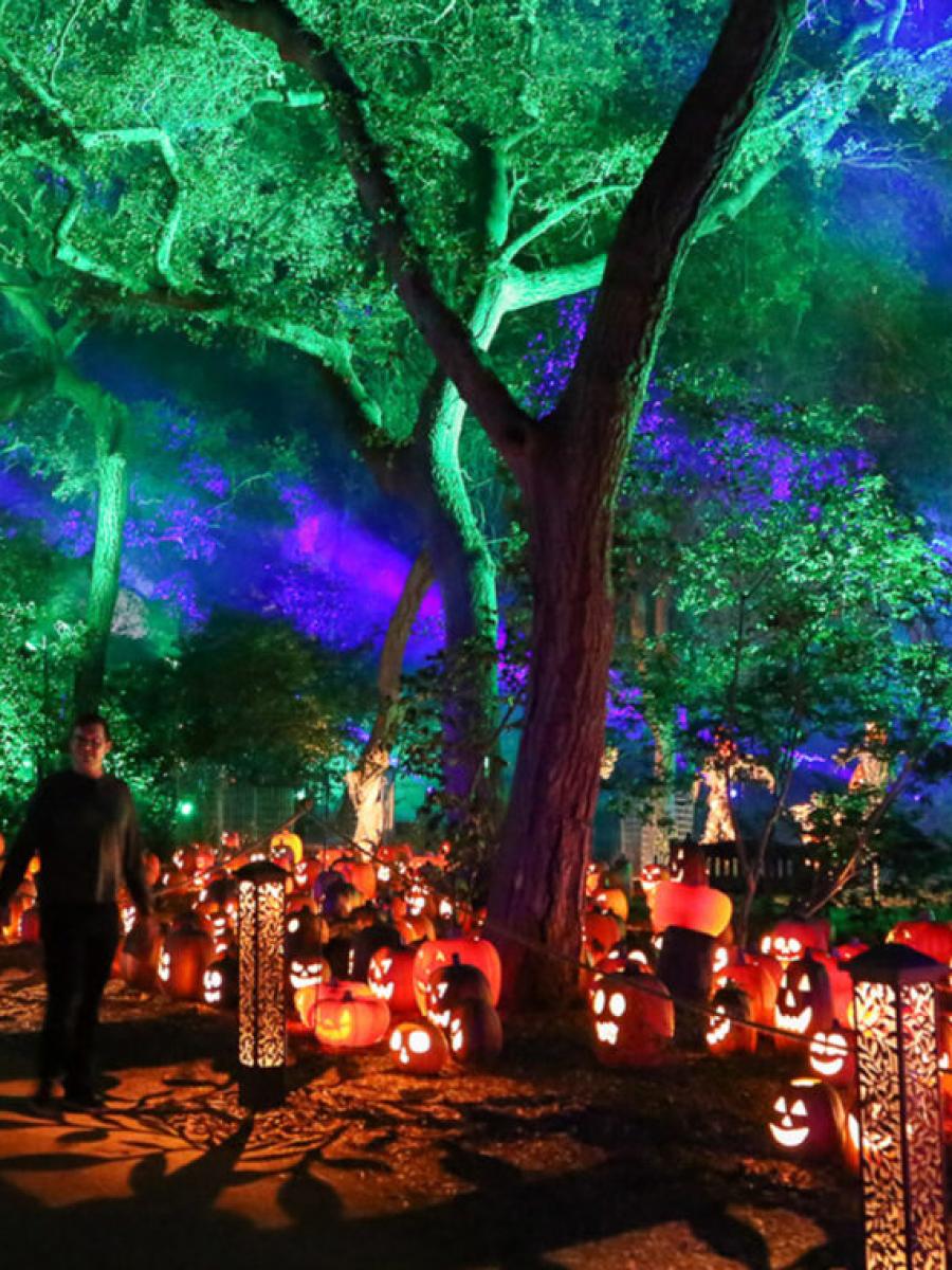 Carved (2026) Immersive Event - Main Image