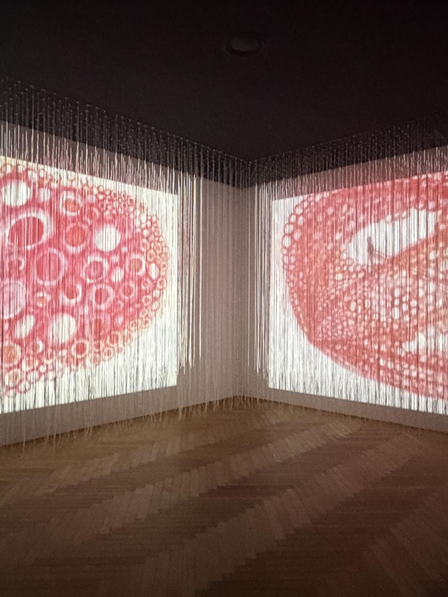 Chiharu Shiota: In the Light of Memory Immersive Event - Main Image