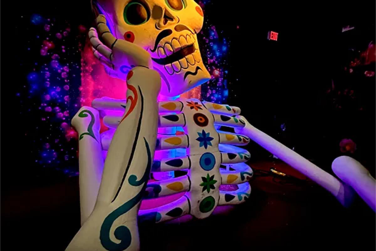 Colors of Mexico Immersive Event - Image 2