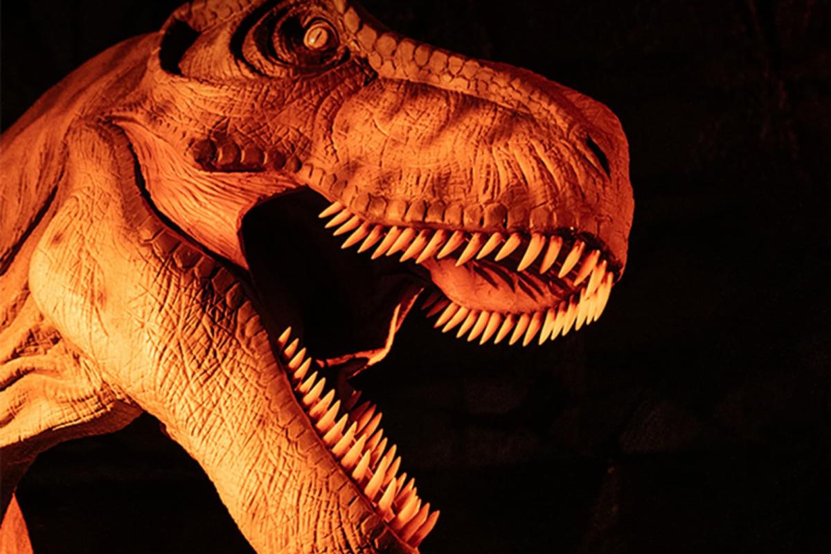 Dinos Alive (Brisbane) Immersive Event - Image 2
