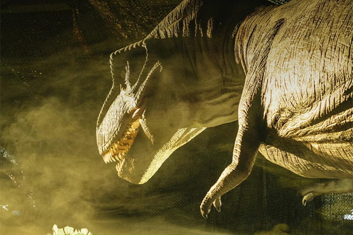 Dinos Alive (Casablanca) Immersive Event - Image 2