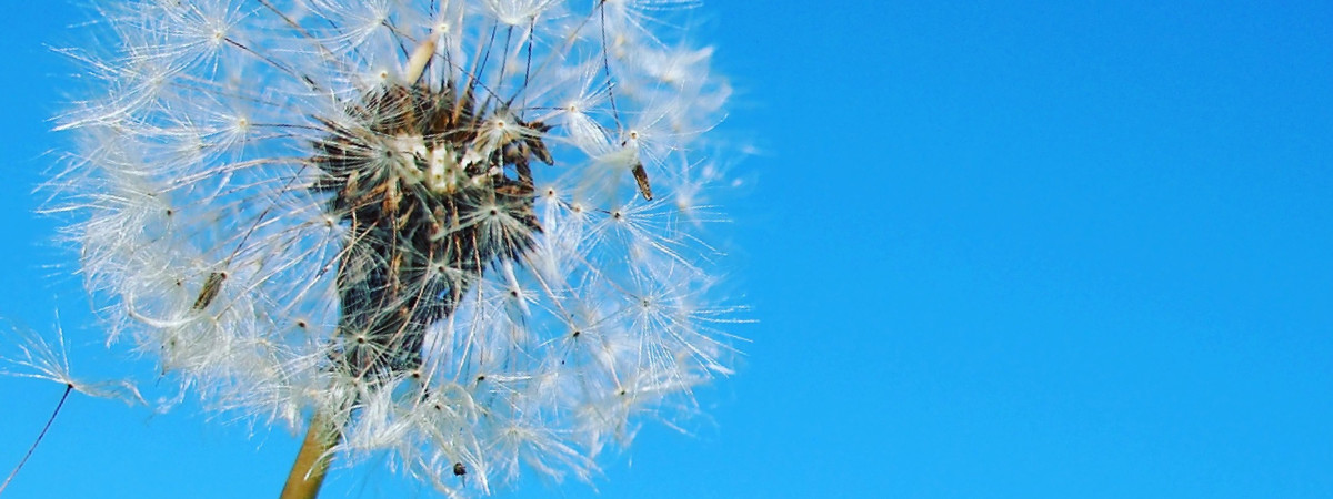 Emergence Immersive Event - Main Image