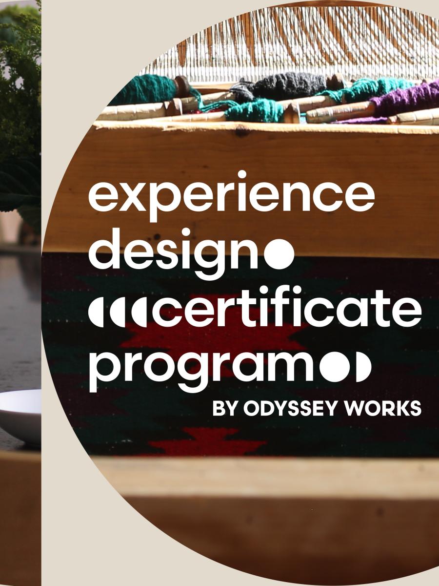 Experience Design Certificate Program application deadline Immersive Event - Main Image