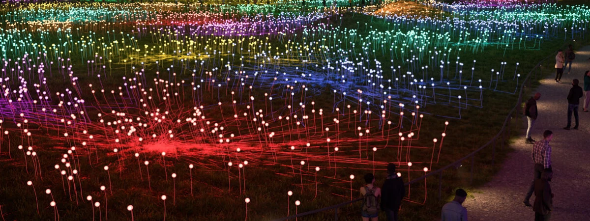 Field of Light at Freedom Plaza Immersive Event - Main Image