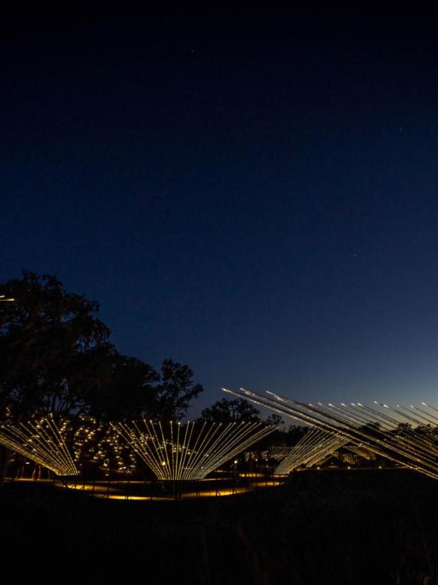 Field of Light (Paso Robles) Immersive Event - Main Image