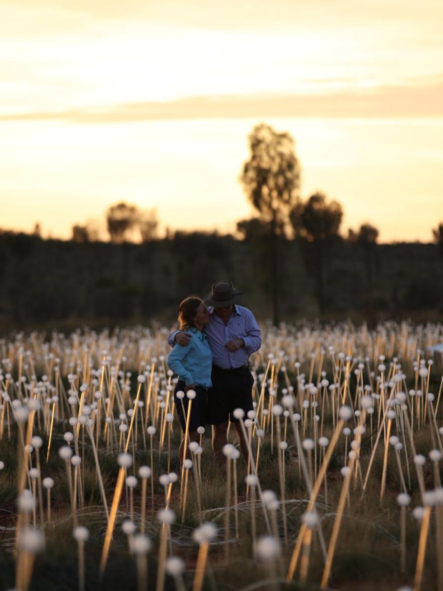 Field of Light Uluru Immersive Event - Main Image