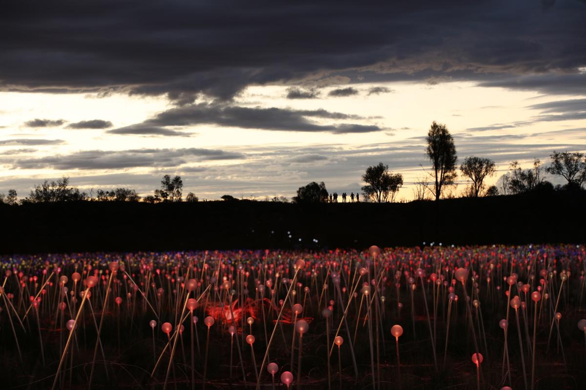 Field of Light Uluru Immersive Event - Image 2