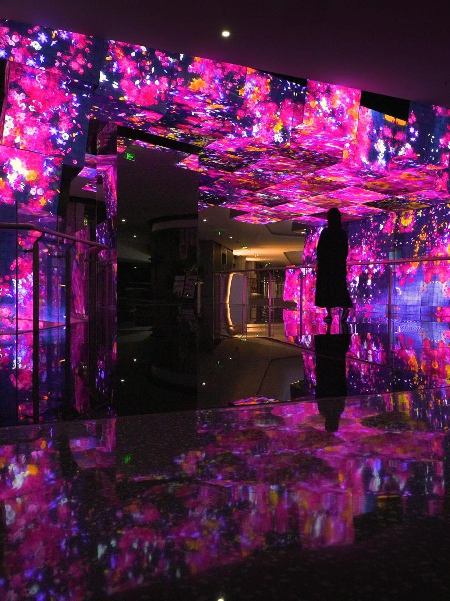 Flowers and People in the Cubic Honeycomb - A Whole Year per Year Immersive Event - Main Image