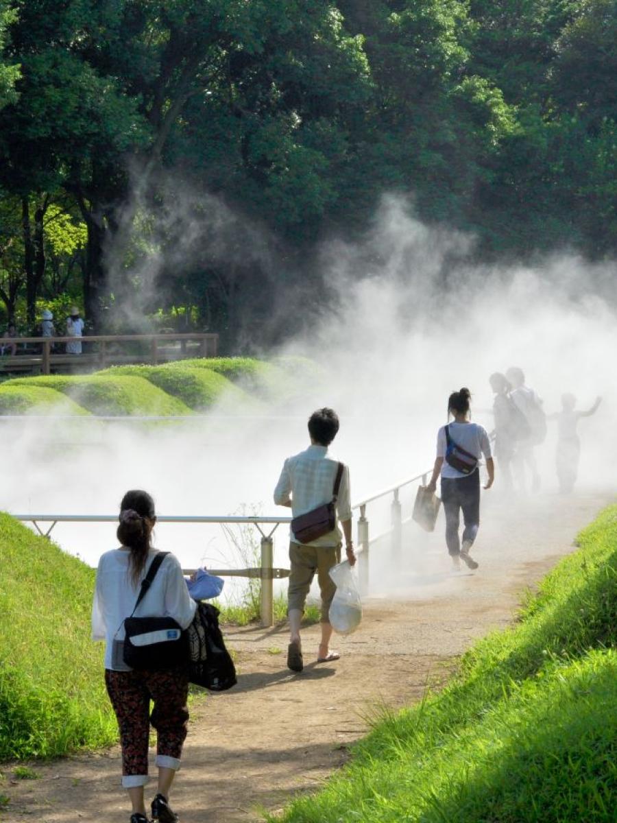 Fog Forest (Showa Kinen Park) Immersive Event - Main Image