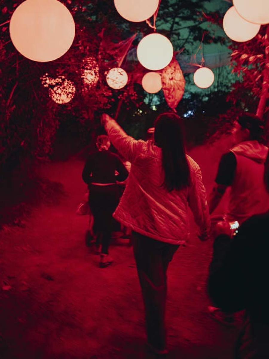 Forest of Shadows (Seattle) Immersive Event - Main Image