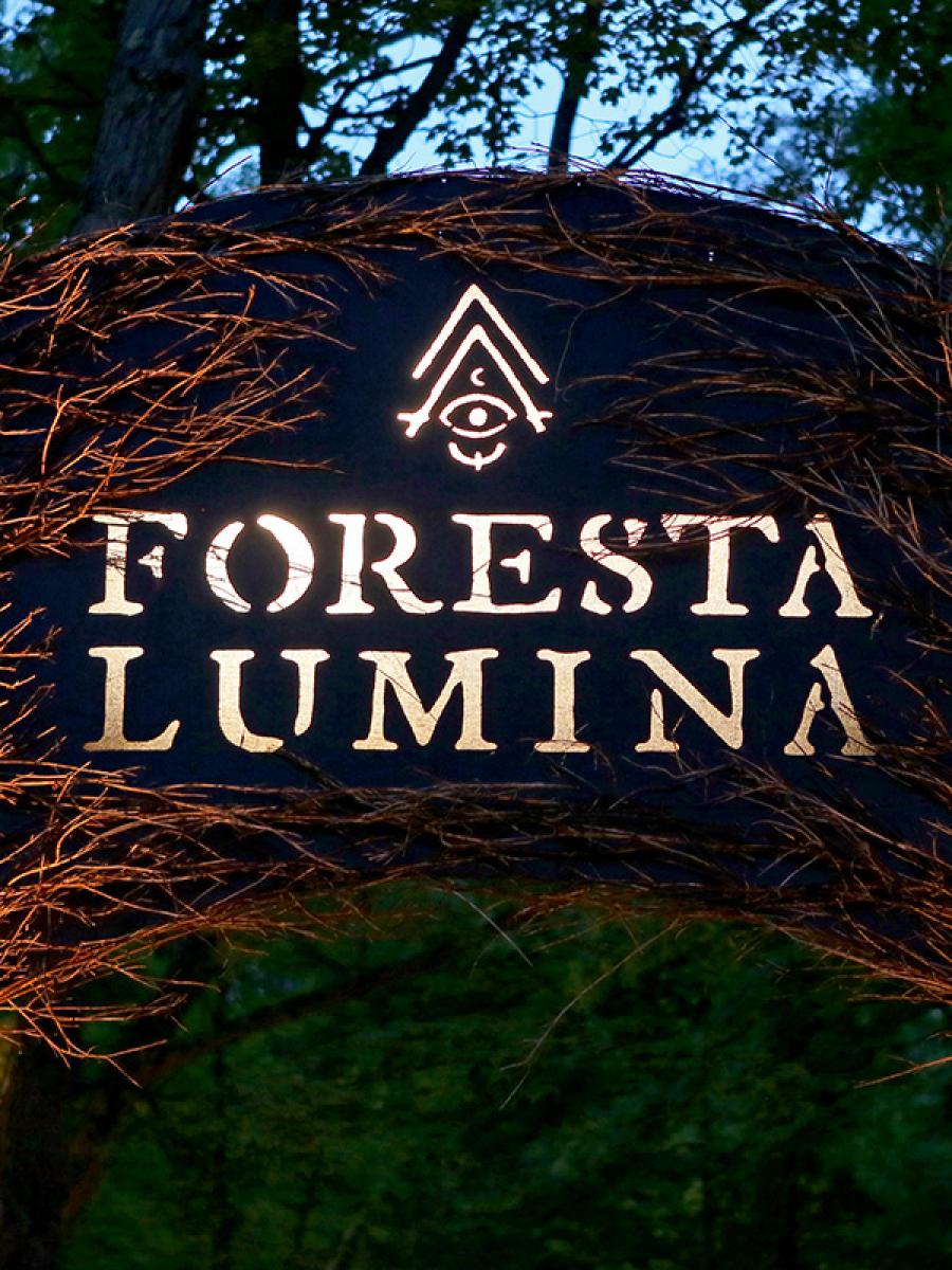 Foresta Lumina Immersive Event - Main Image