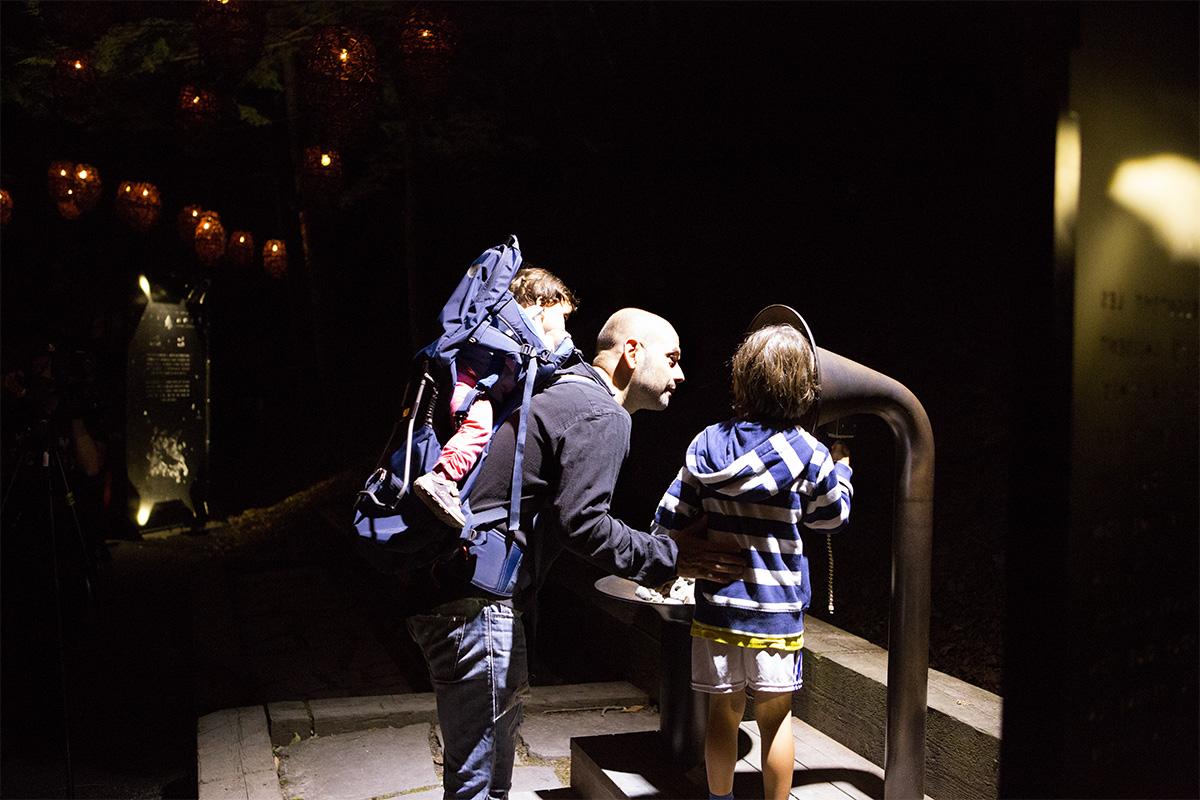 Foresta Lumina Immersive Event - Image 2