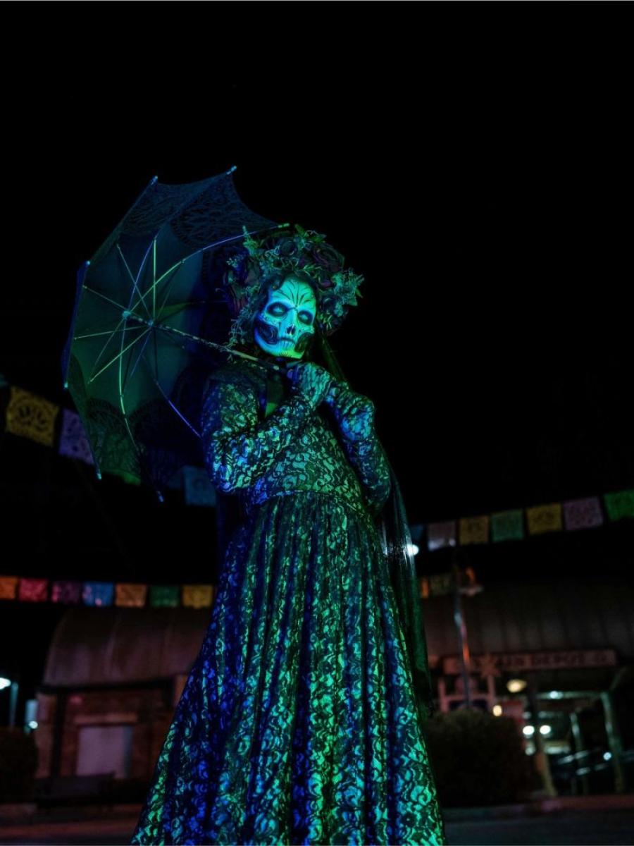 Fright Fest (2026) Immersive Event - Main Image