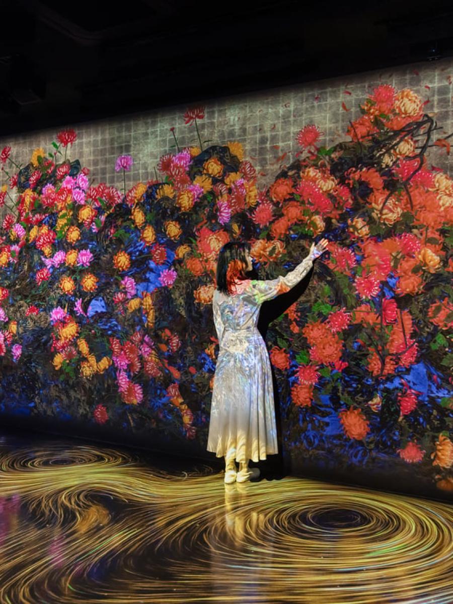 Galaxy & teamLab: Continuous Life and Death at the Now of Eternity Immersive Event - Main Image
