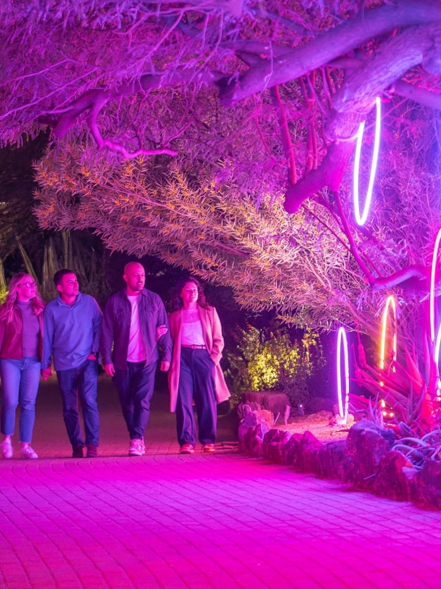 GARDEN: AFTER DARK Immersive Event - Main Image