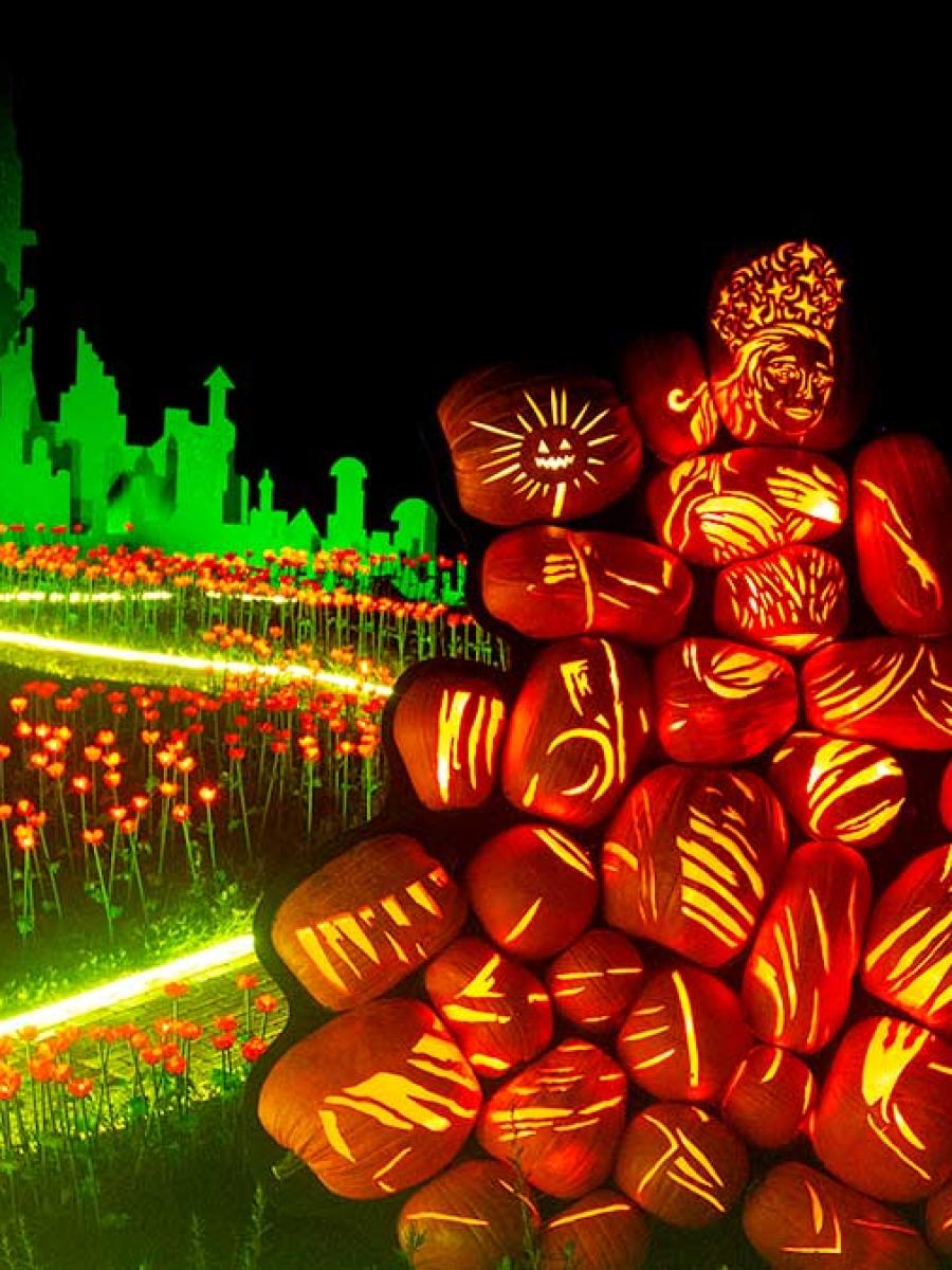 Great Jack O'Lantern Blaze (2026) Immersive Event - Main Image