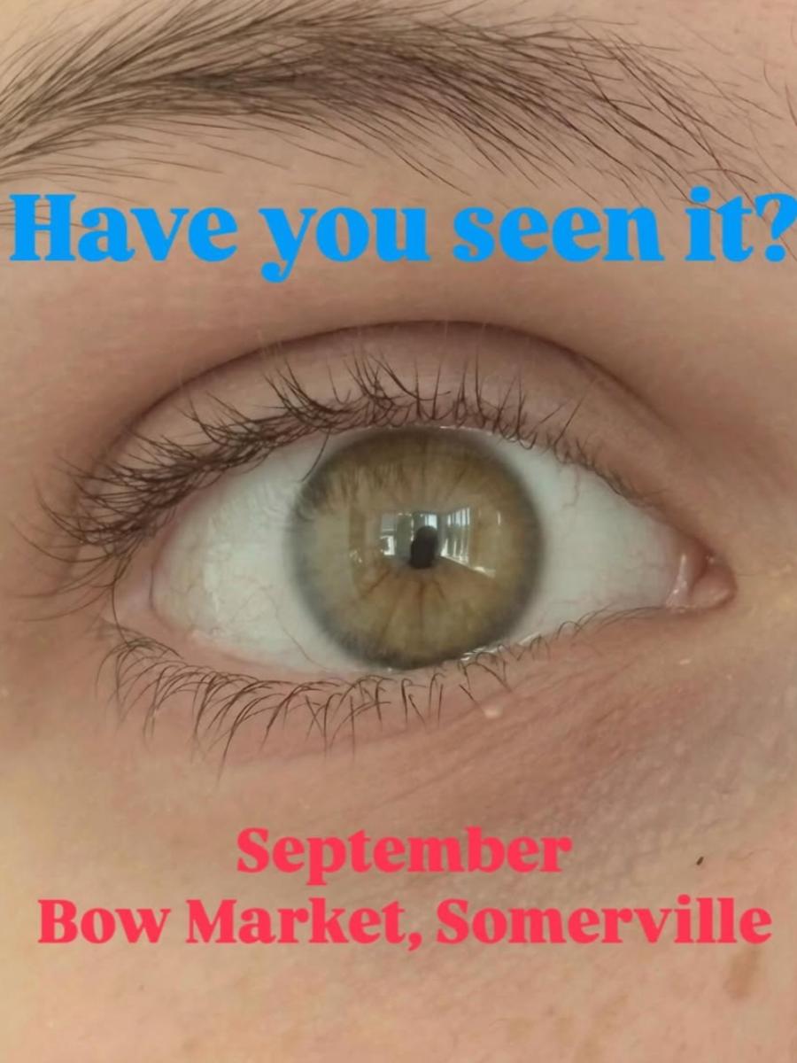 Have You Seen It? Immersive Event - Main Image