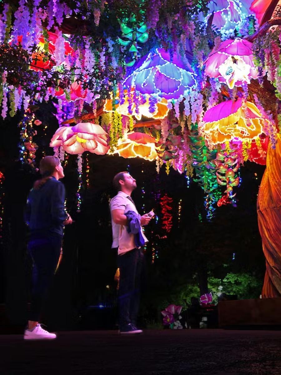 ILLUMINATURE Immersive Event - Main Image