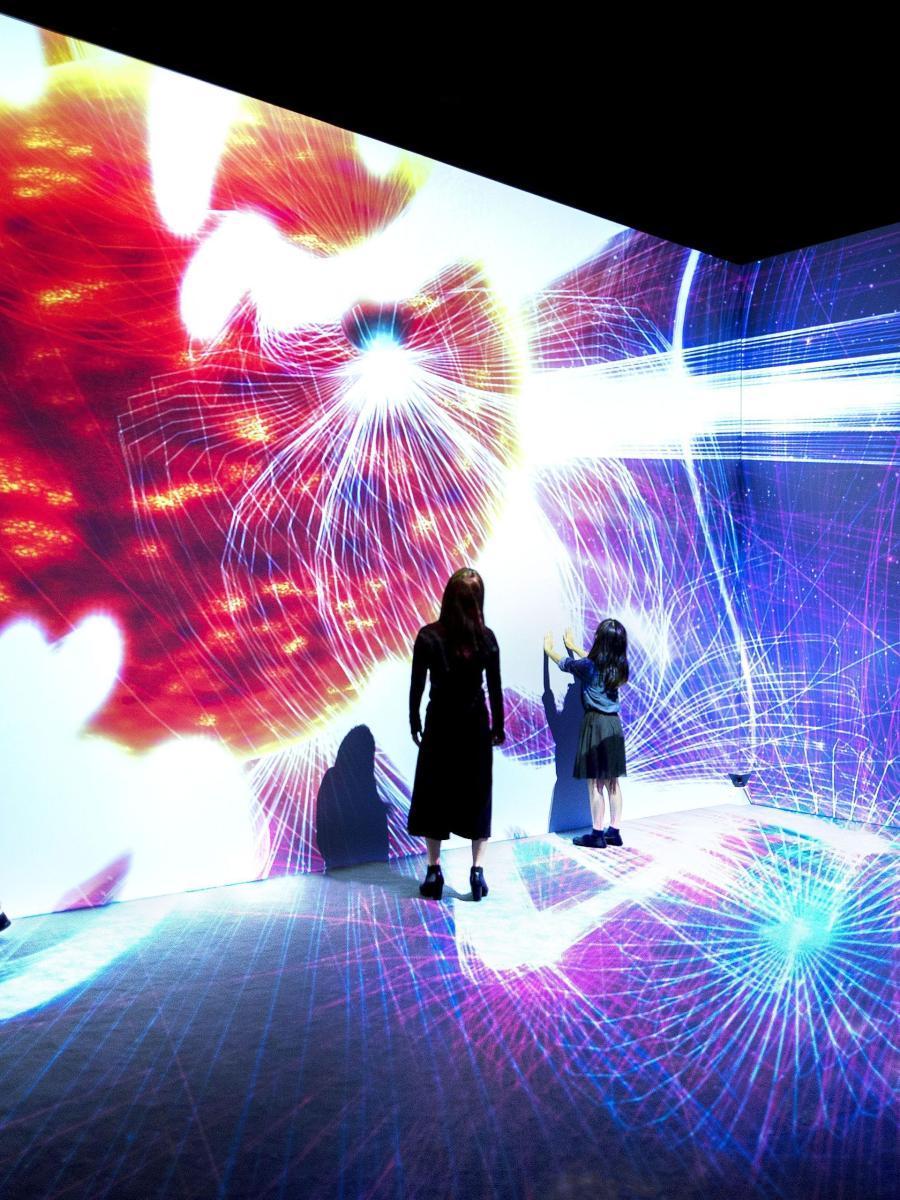 Interactive Magnetic Field Theater by teamLab Immersive Event - Main Image