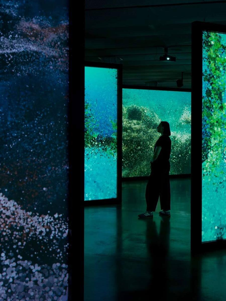 Into the Ocean: Journey Beneath Immersive Event - Main Image