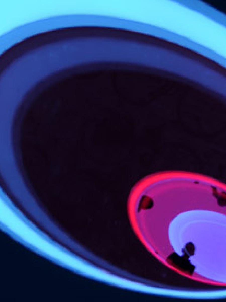 James Turrell: Above – Between – Below Immersive Event - Main Image