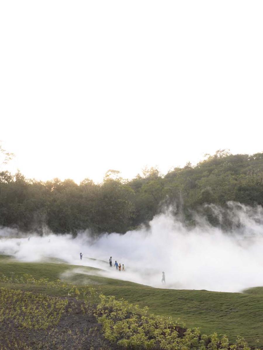 Khao Yai Fog Forest Immersive Event - Main Image