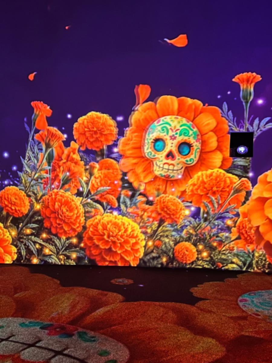 La Fiesta Eterna Immersive Event - Main Image
