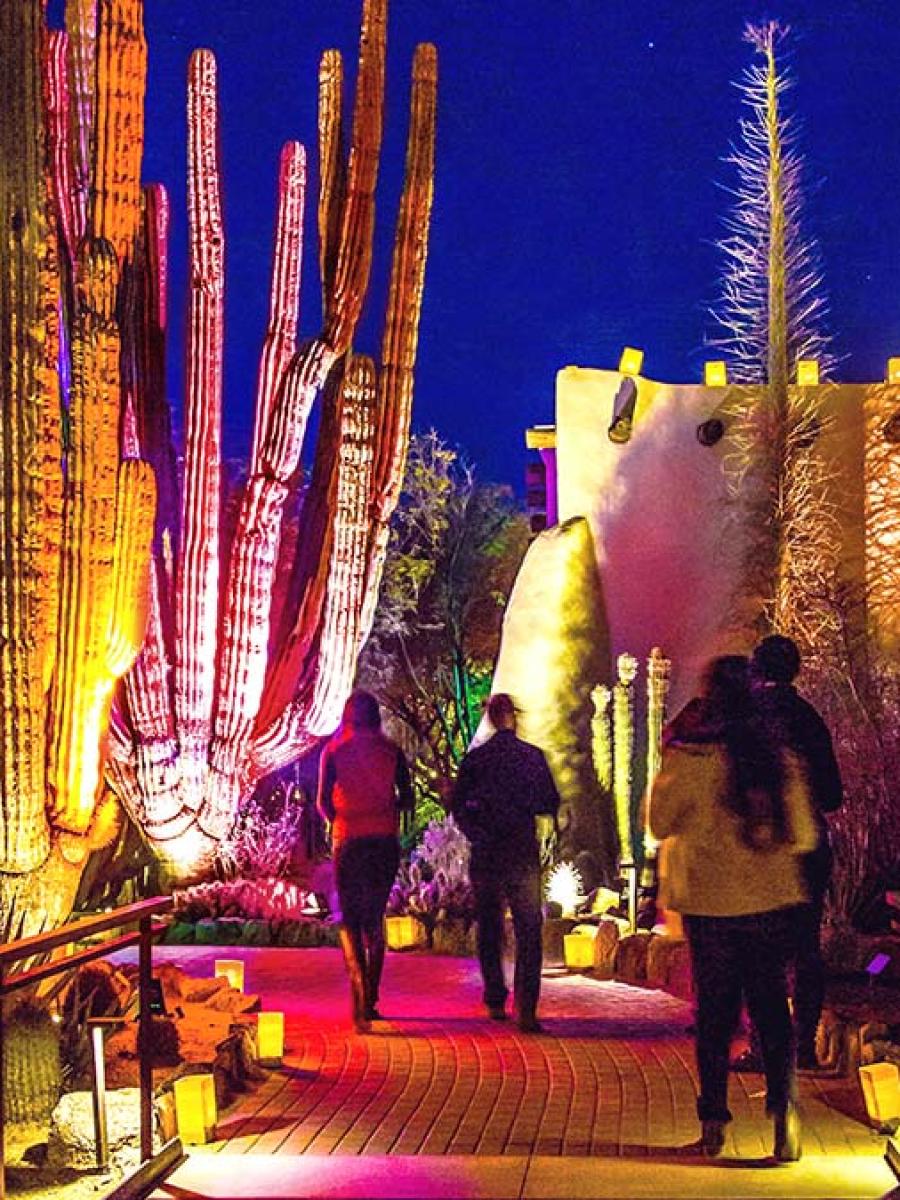 Las Noches de las Luminarias (2026) Immersive Event - Main Image