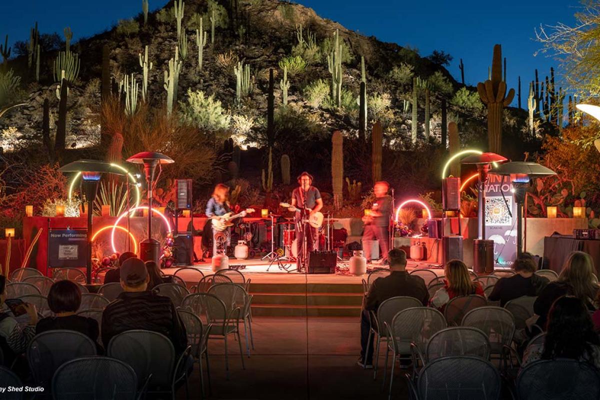 Las Noches de las Luminarias (2026) Immersive Event - Image 2