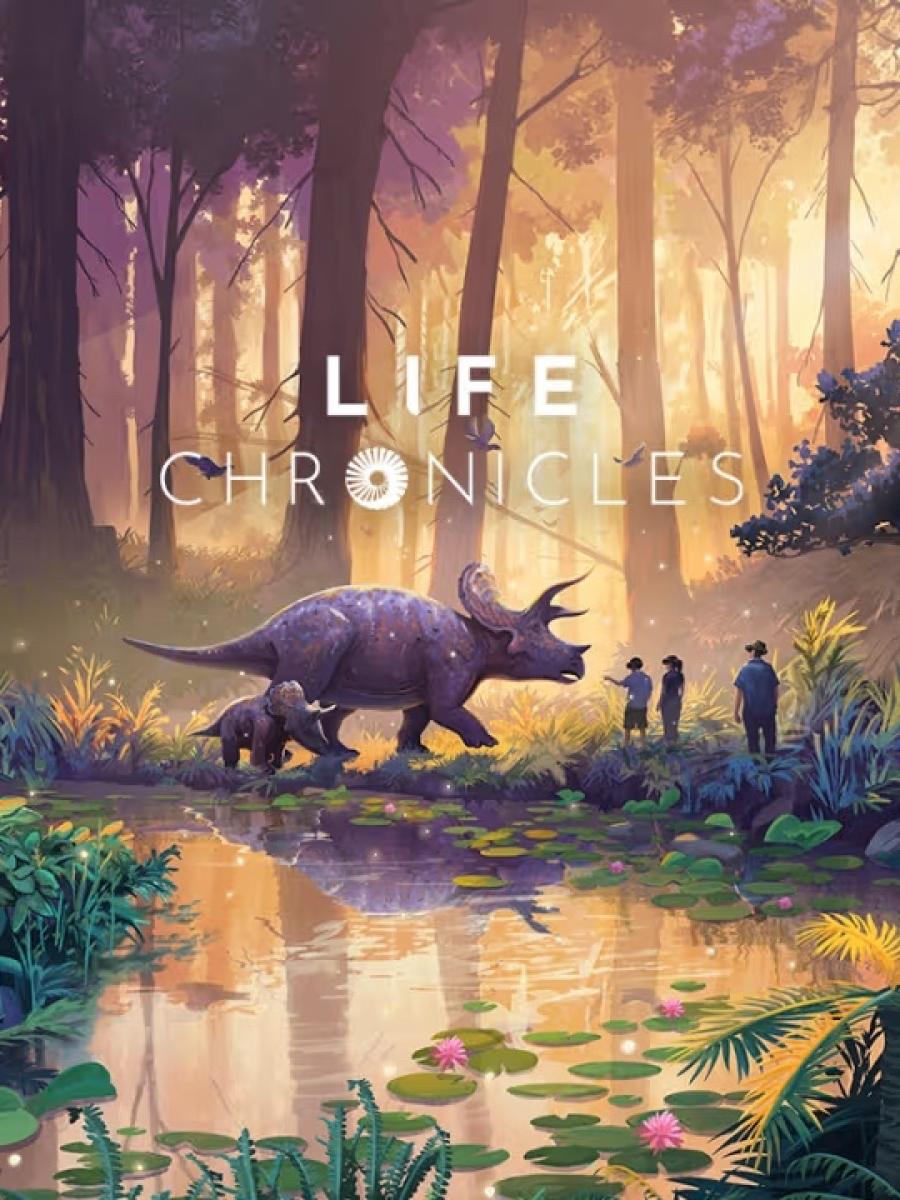 Life Chronicles (Austin) Immersive Event - Main Image